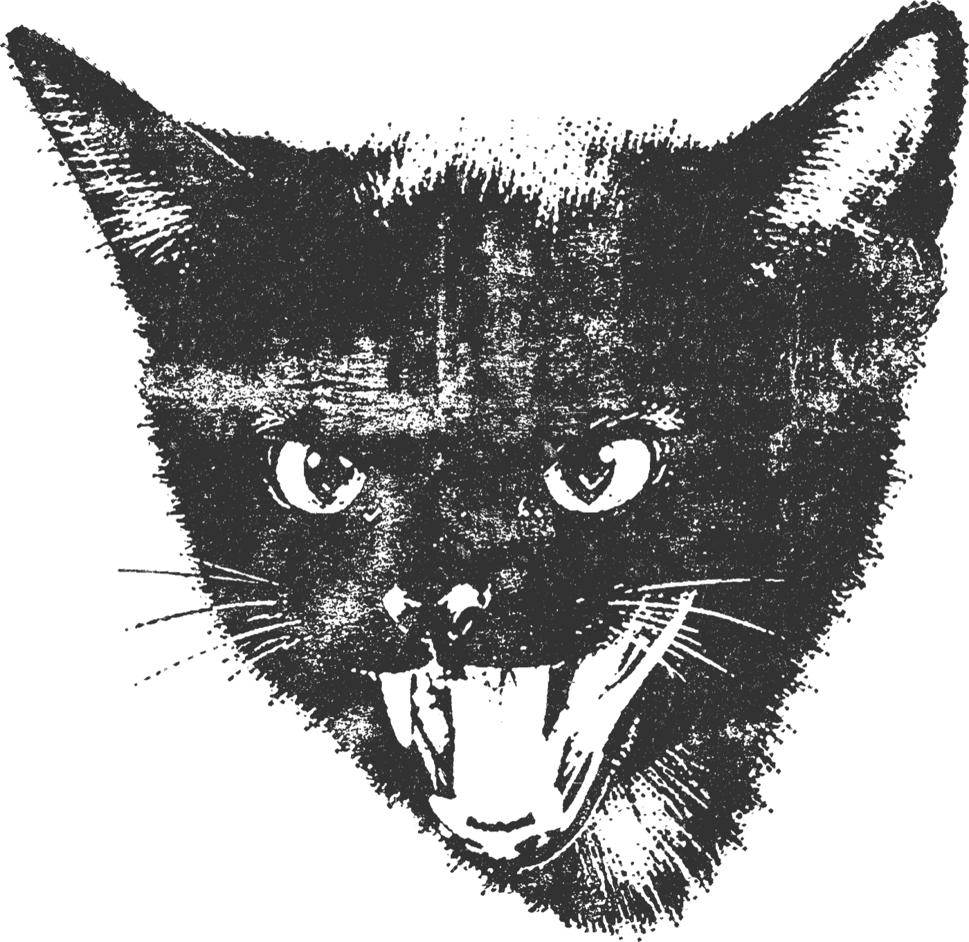 Arte do gato